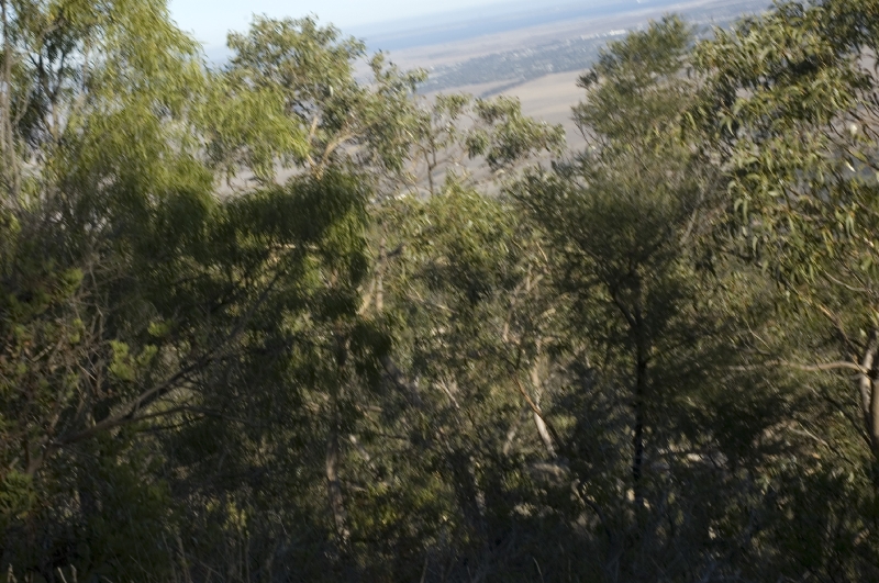 youyangs_7.JPG