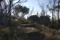 youyangs_14