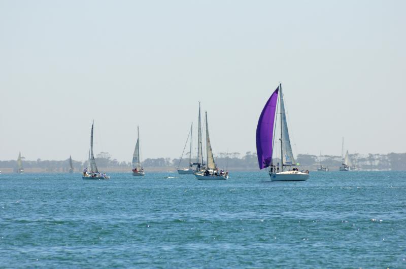 DSC_1699.jpg