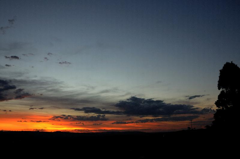 DSC_0890.jpg